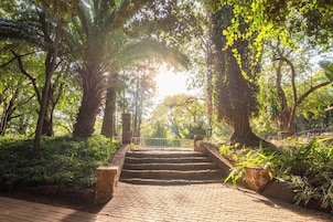 Uma trilha pavimentada serpenteia por um jardim exuberante, com árvores grandes e um guarda-corpo de metal.