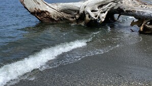 Un gran tronco de árbol caído en una playa con un lago y montañas al fondo.