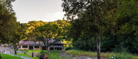 Piscina coberta i 3 piscines a l'aire lliure
