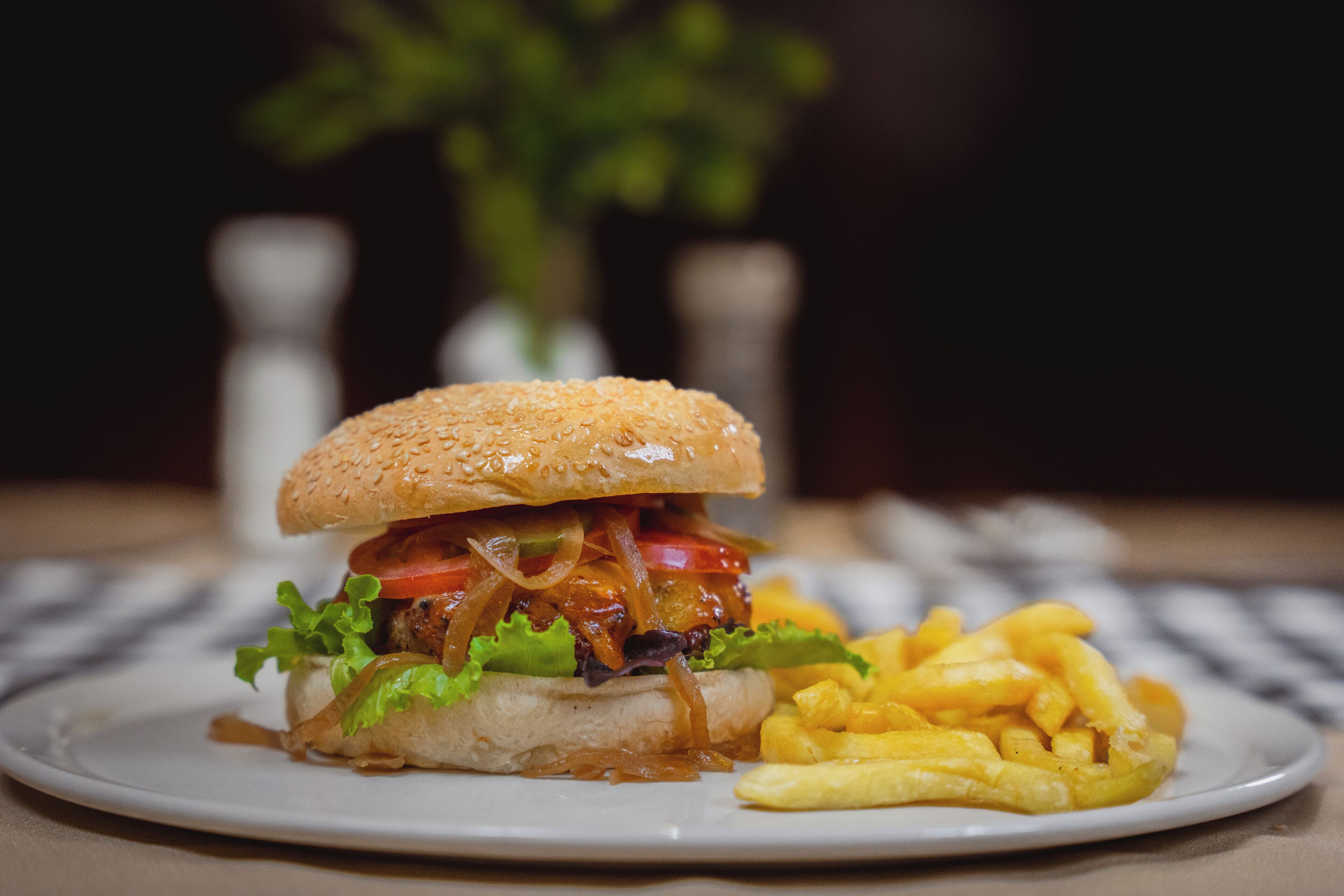 Une assiette avec un hamburger et des frites.
