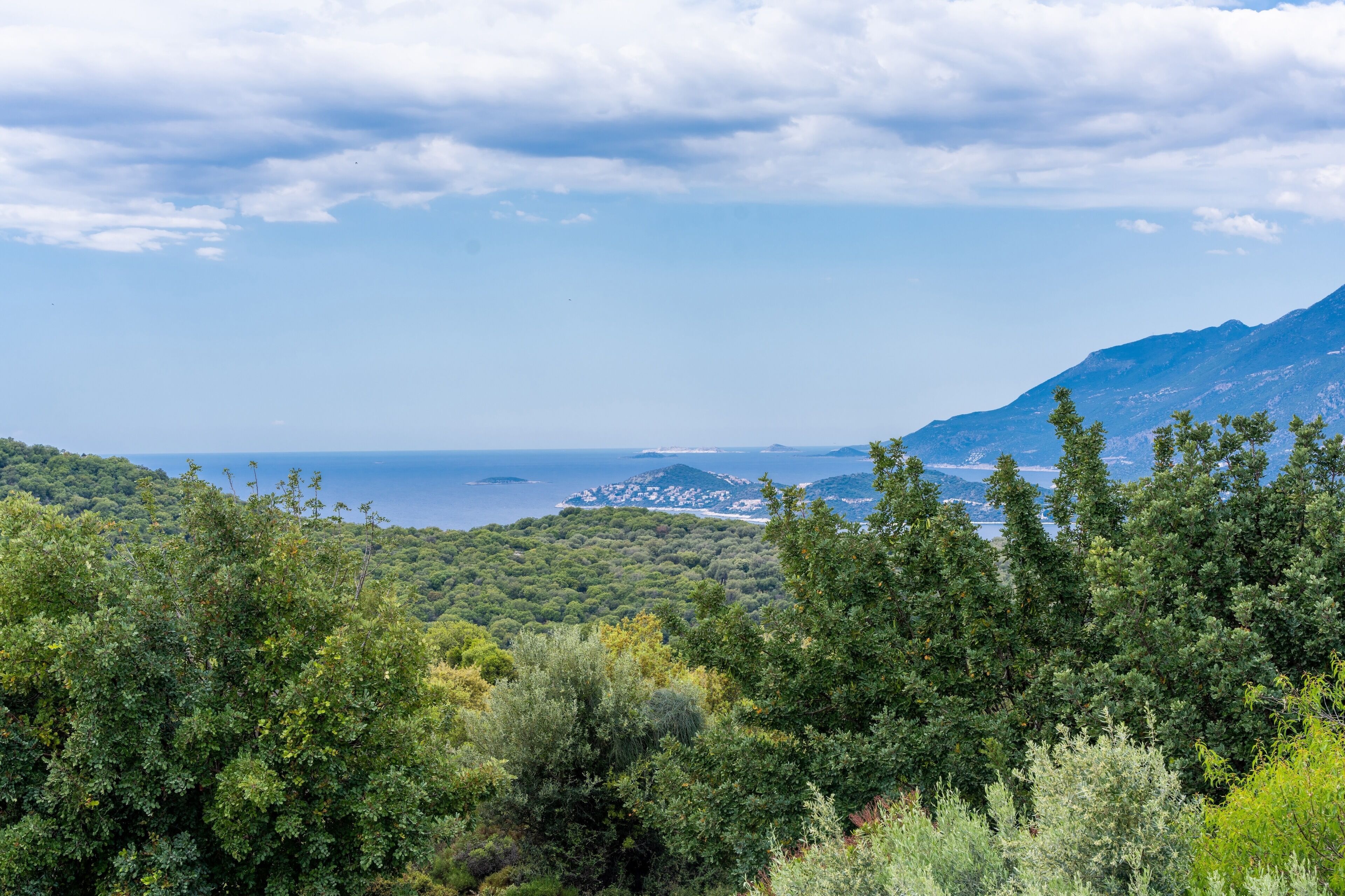 family villa | view from room