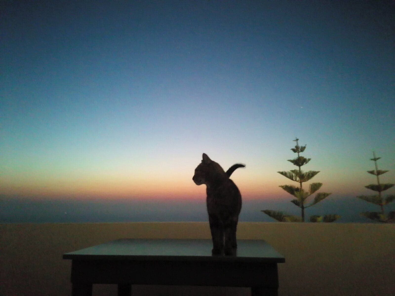 Foto - Phaos Santorini Suites