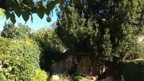 A gravel path leading through a garden with various plants and a stone wall in the background. - Apart 1 (Sleeps 4/6) Overlooking Etang De Thau Bouzigues, Languedoc-Roussillon (Bouzigues)
