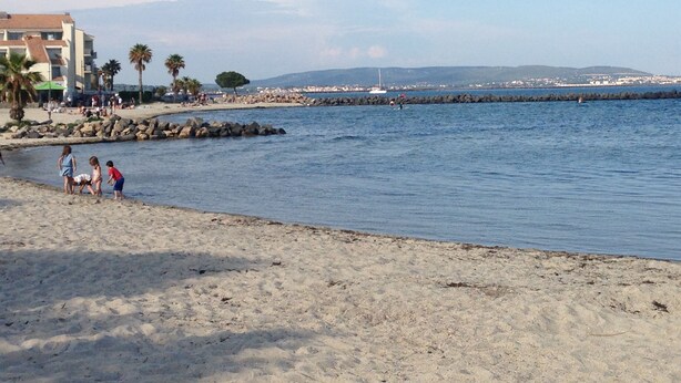 Une plage avec une digue rocheuse, des palmiers et une vue lointaine sur un paysage urbain.
