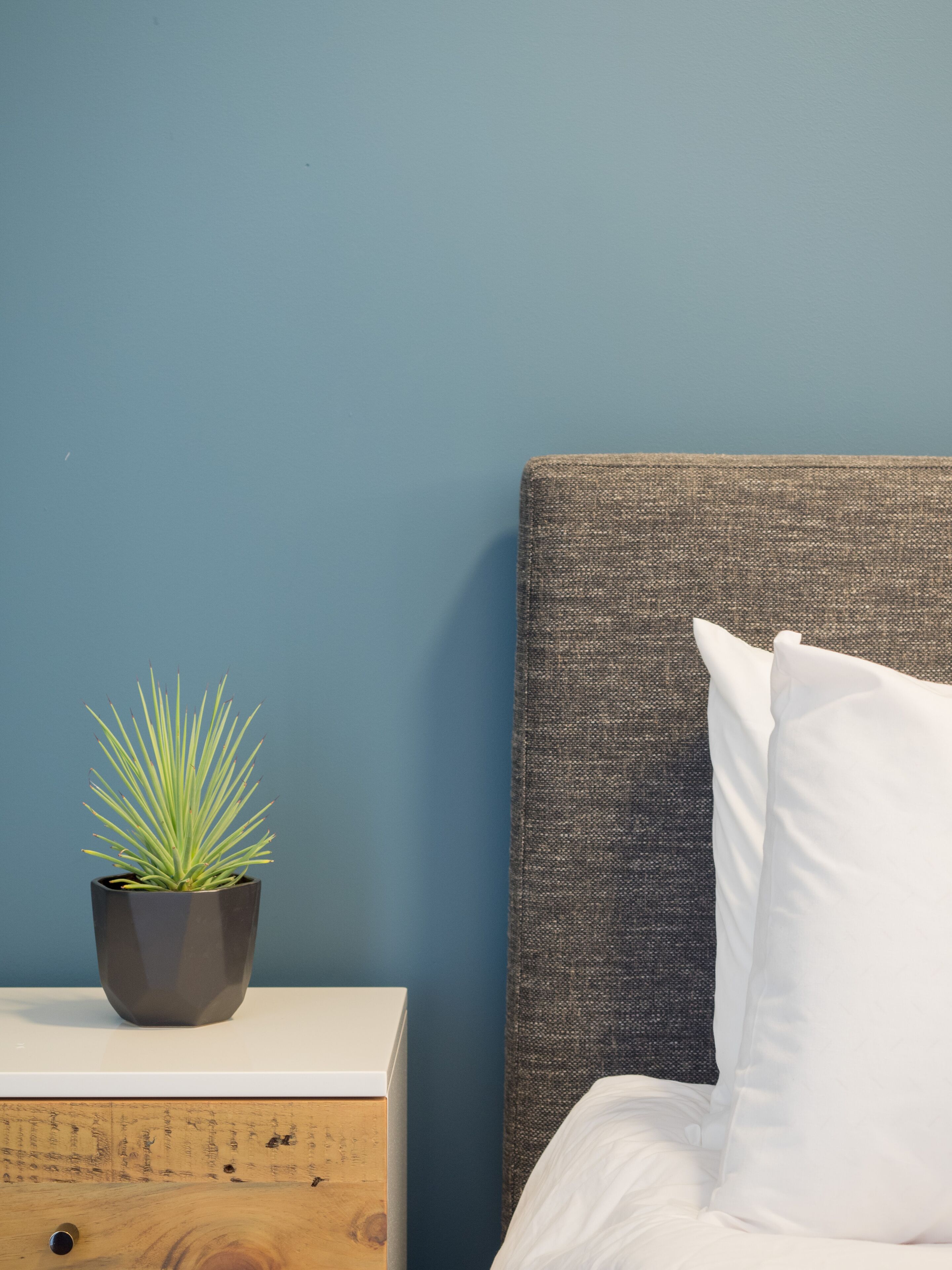 A bed with white pillows and a grey headboard, a wooden nightstand with a potted plant, and a blue wall.
