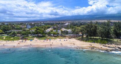 AEI at Maui Banyan