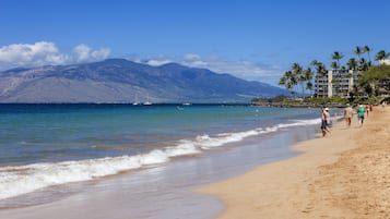 بالقرب من الشاطئ