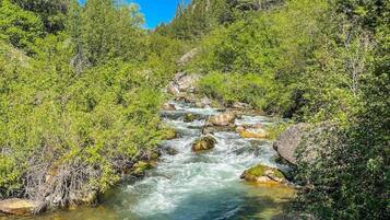 A river flowing through a forested area with clear water and rocky terrain.