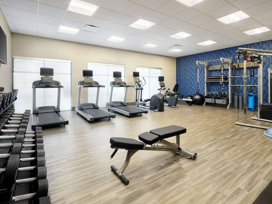 A gym with treadmills, elliptical machines, dumbbells, and a weight bench.