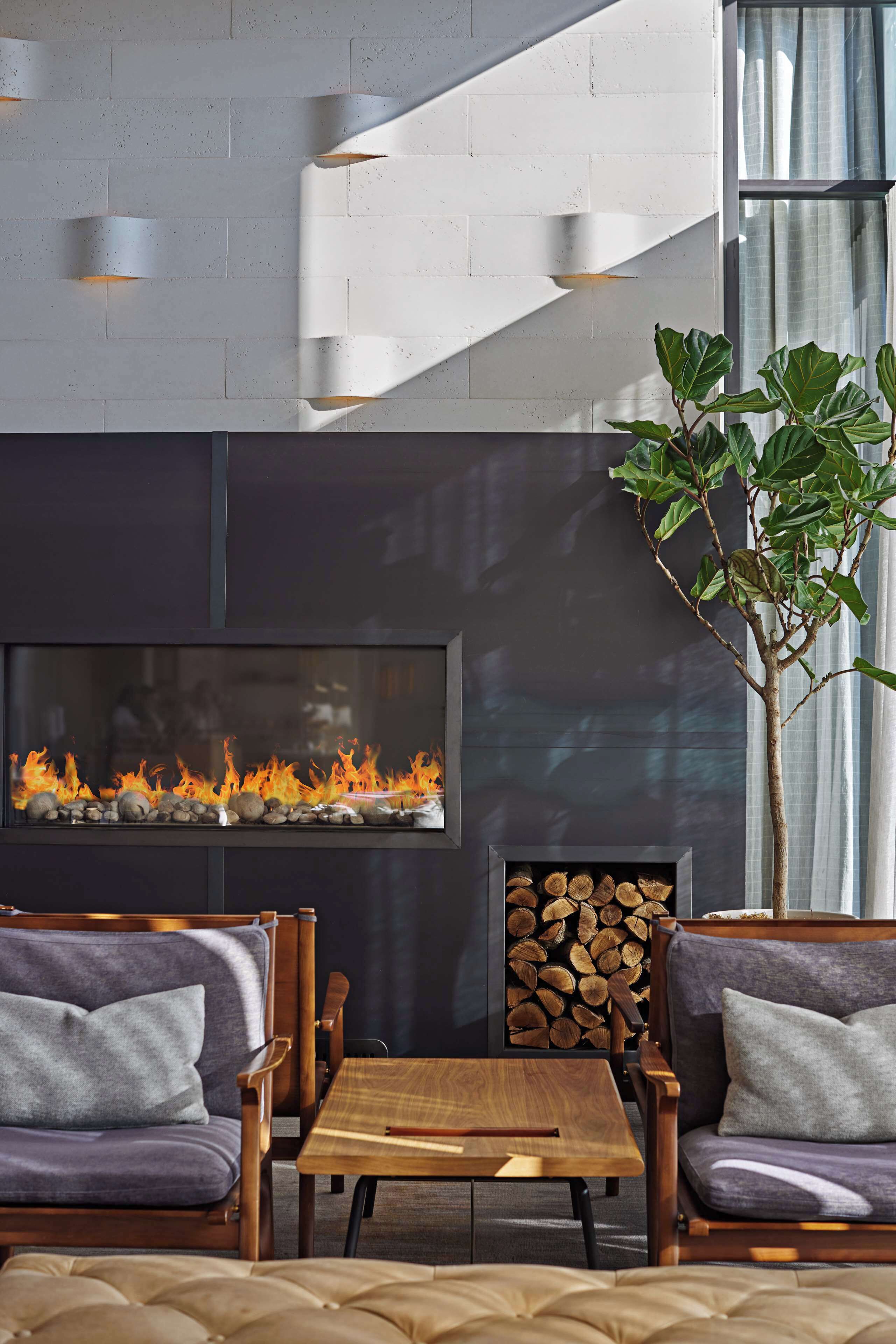 Un interior moderno con chimenea, zona de estar y una planta.