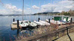 En stilla sjö med flera segelbåtar förtöjda vid en träbrygga.