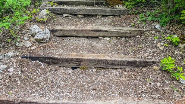 Un escalier en bois menant au sommet d’une colline, entouré d’un feuillage verdoyant et dense.