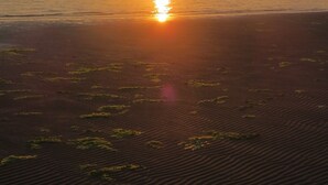 Solnedgang over en strand med en bro i det fjerne.