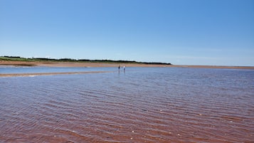 Sun-loungers, beach towels