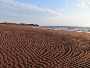 Sun-loungers, beach towels