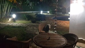 Un patio al aire libre con suelo de piedra, mobiliario de mimbre y una piscina pequeña.