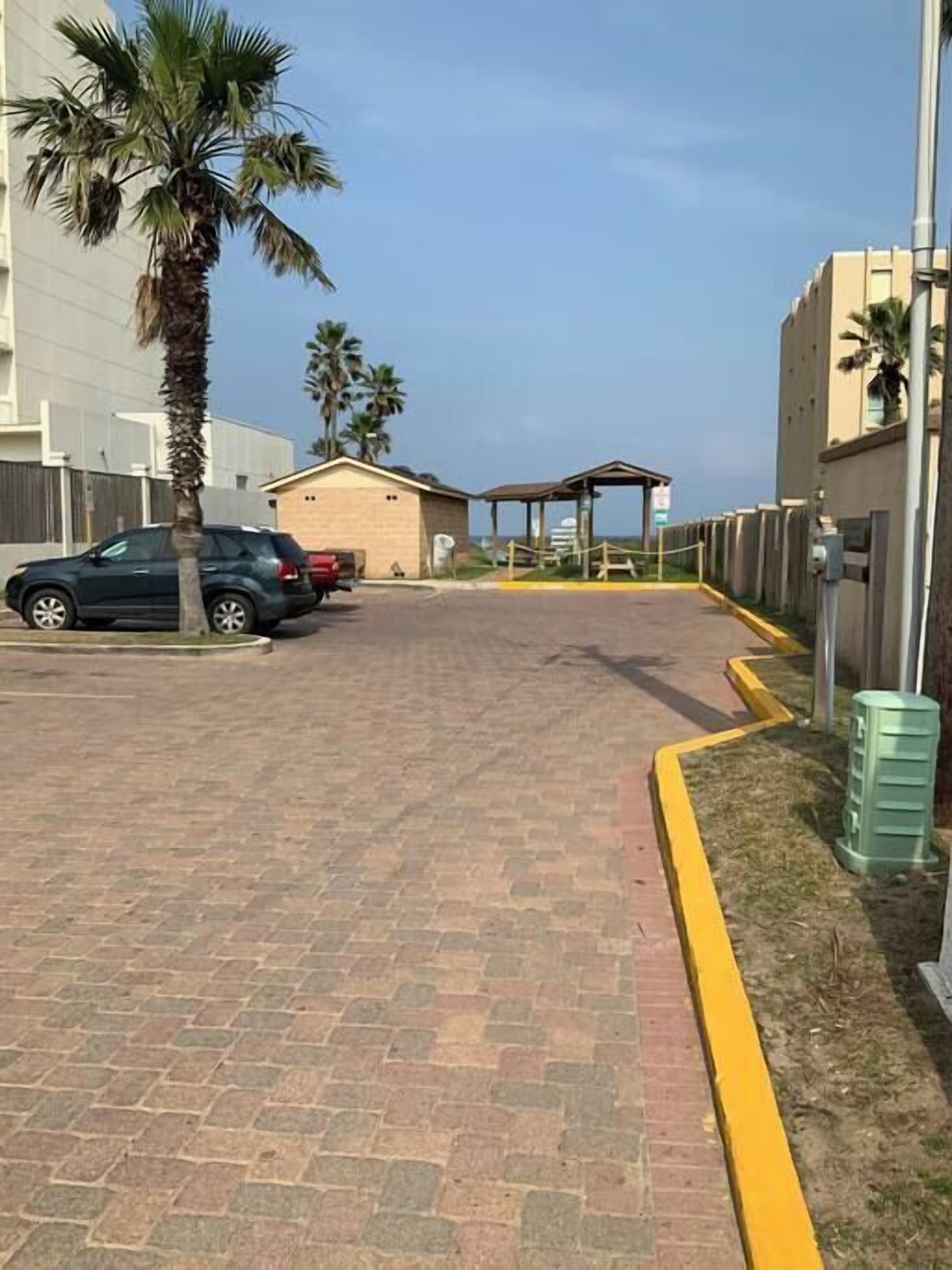 A paved driveway leading to a building with a covered entrance, palm trees, and parked cars.
