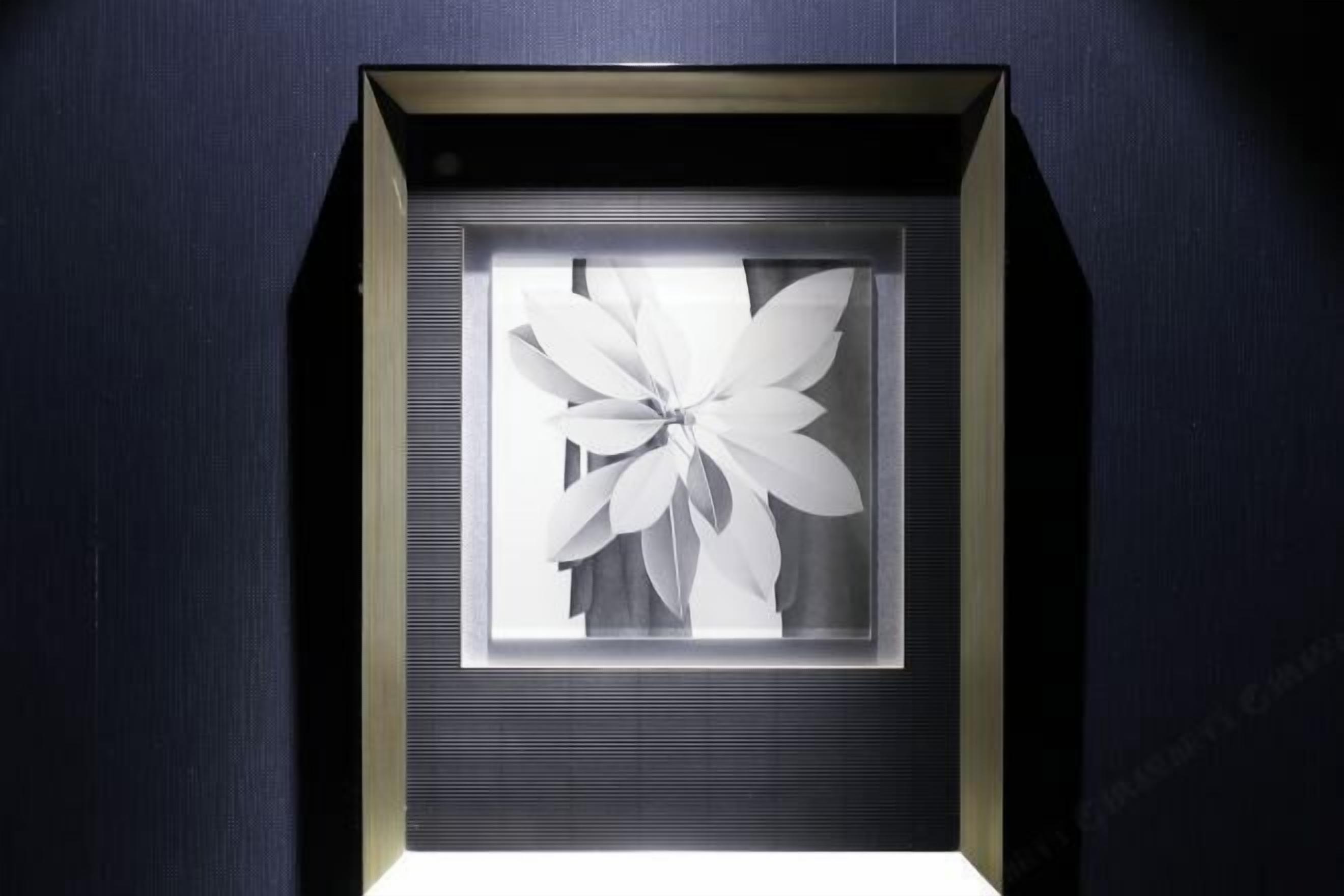 Una obra de arte enmarcada que muestra una flor blanca sobre un fondo oscuro.