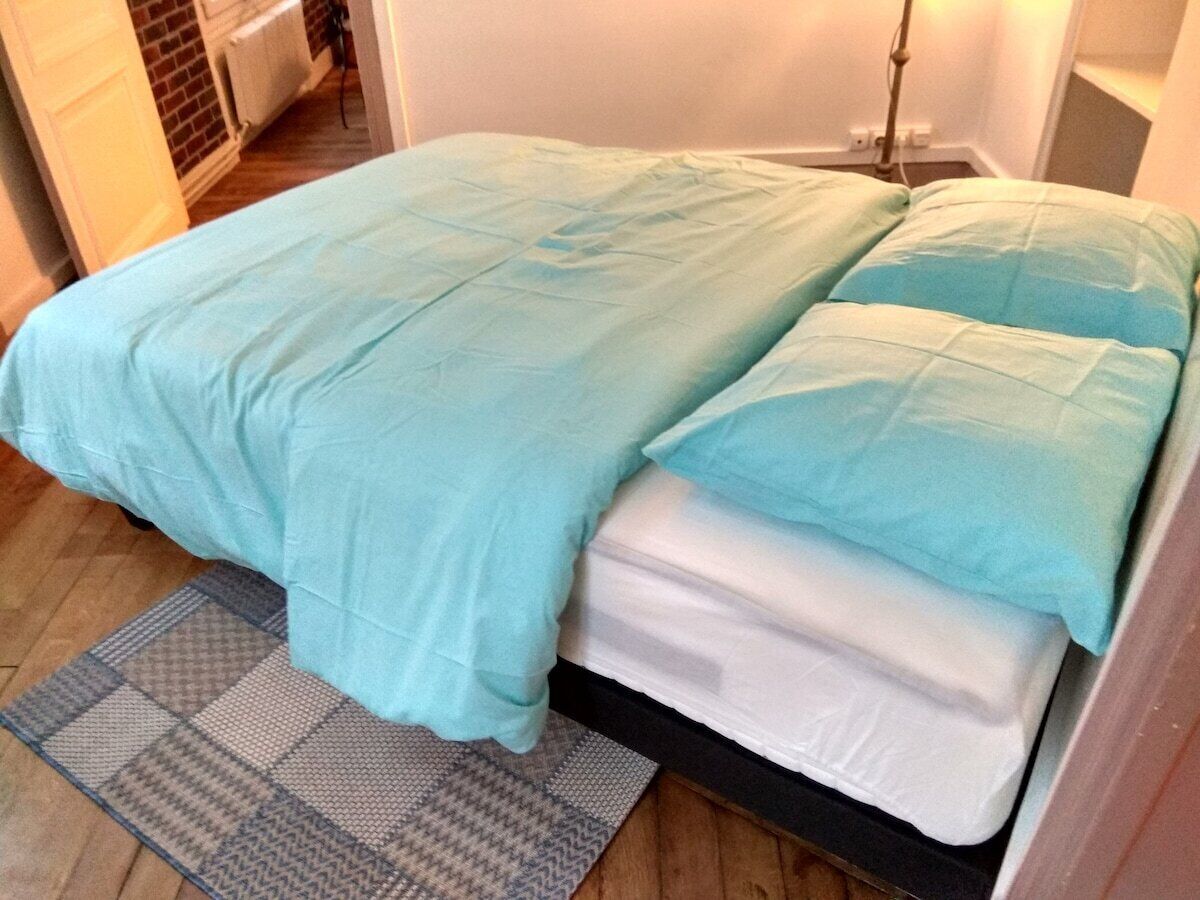 Chic apart with parking near Paris