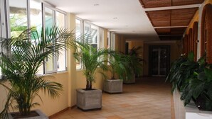 A hallway with potted plants, large windows, and a tiled floor. - Peten Esplendido (Flores)