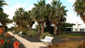 Un sentier bordé de bancs, de palmiers et, au fond, d’un bâtiment blanc.