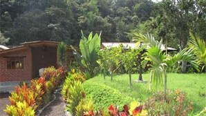 A garden pathway leading to a brick building with a sloped roof. - Sumak Pakari Hosteria (Gualea)