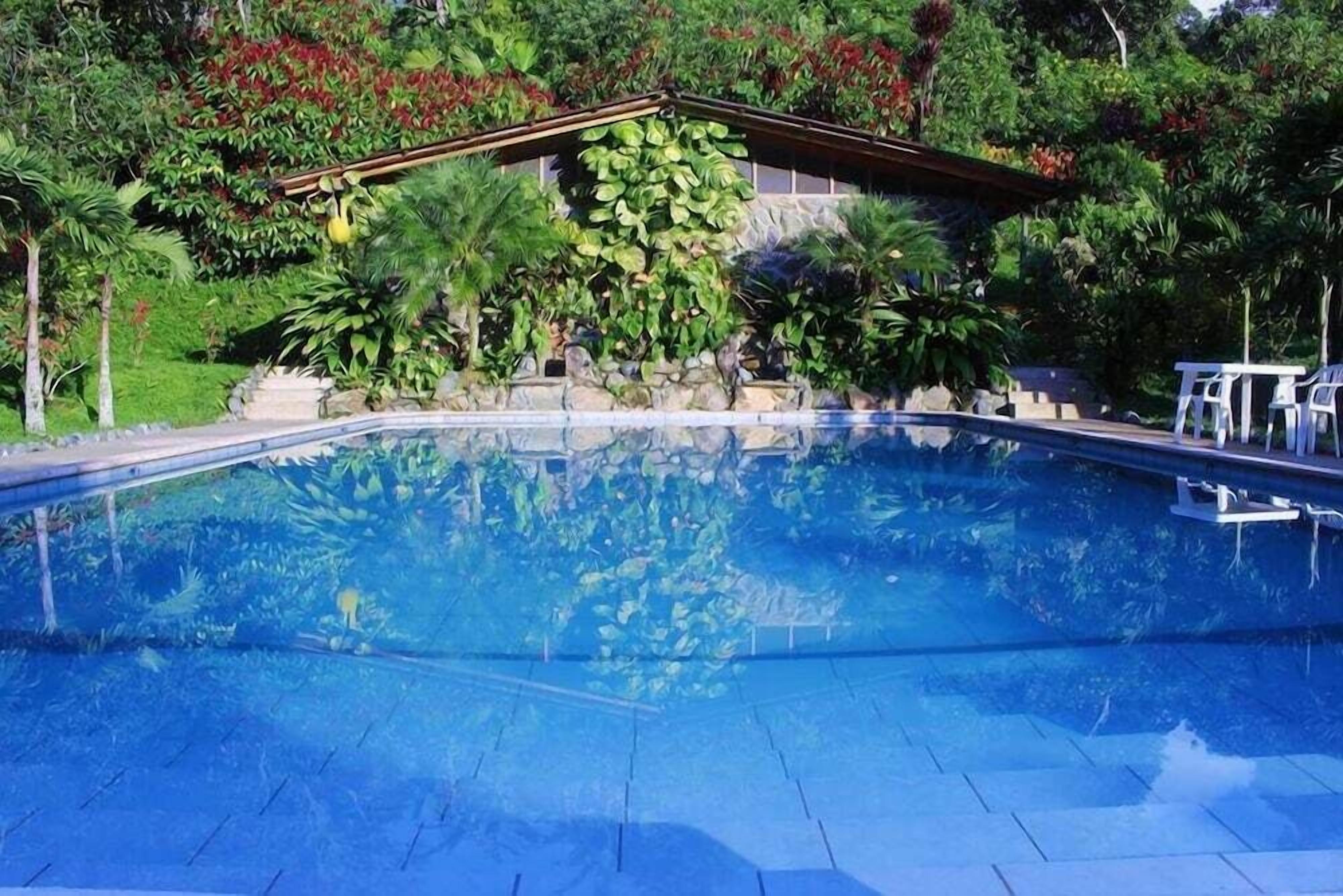 Açık yüzme havuzu 