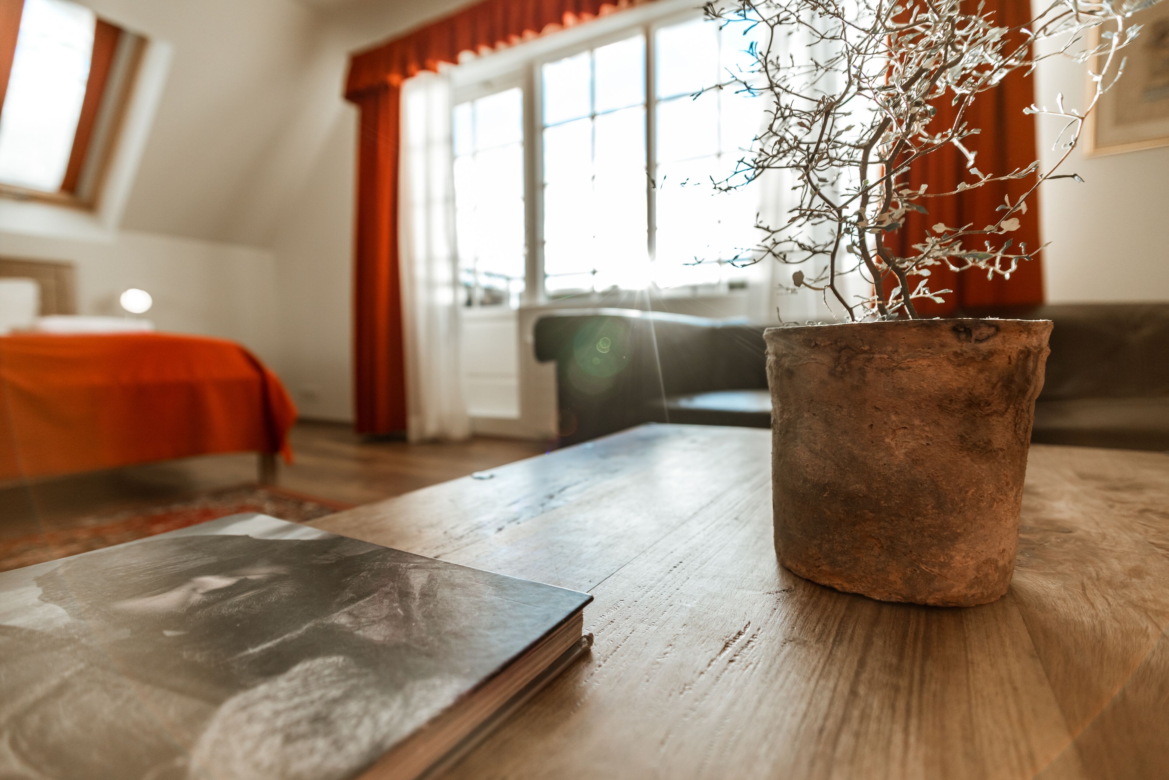 A wooden table with a book and a potted plant in a rustic pot.