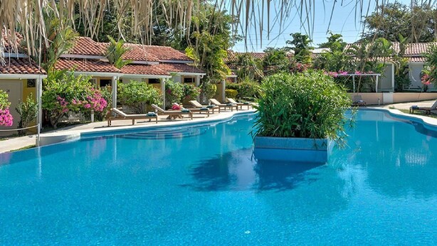 Une piscine d’un bleu éclatant, avec des chaises longues et une plante en pot.