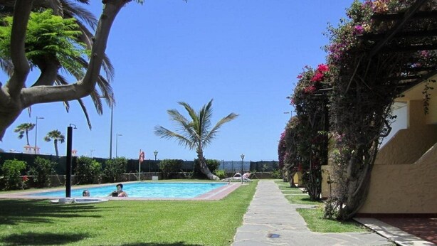 Ein Swimmingpool mit einem steinbelagten Weg, umgeben von üppiger Vegetation und Palmen.
