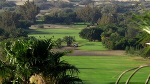 Ein Golfplatz mit Dünen im Hintergrund, umgeben von dichter Vegetation und Palmen.
