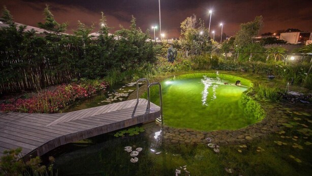 A nighttime garden with a pond, wooden bridge, and surrounding vegetation. - Hotel Verde Cape Town Airport (Cape Town)