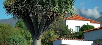 La Plantacion Bungalows