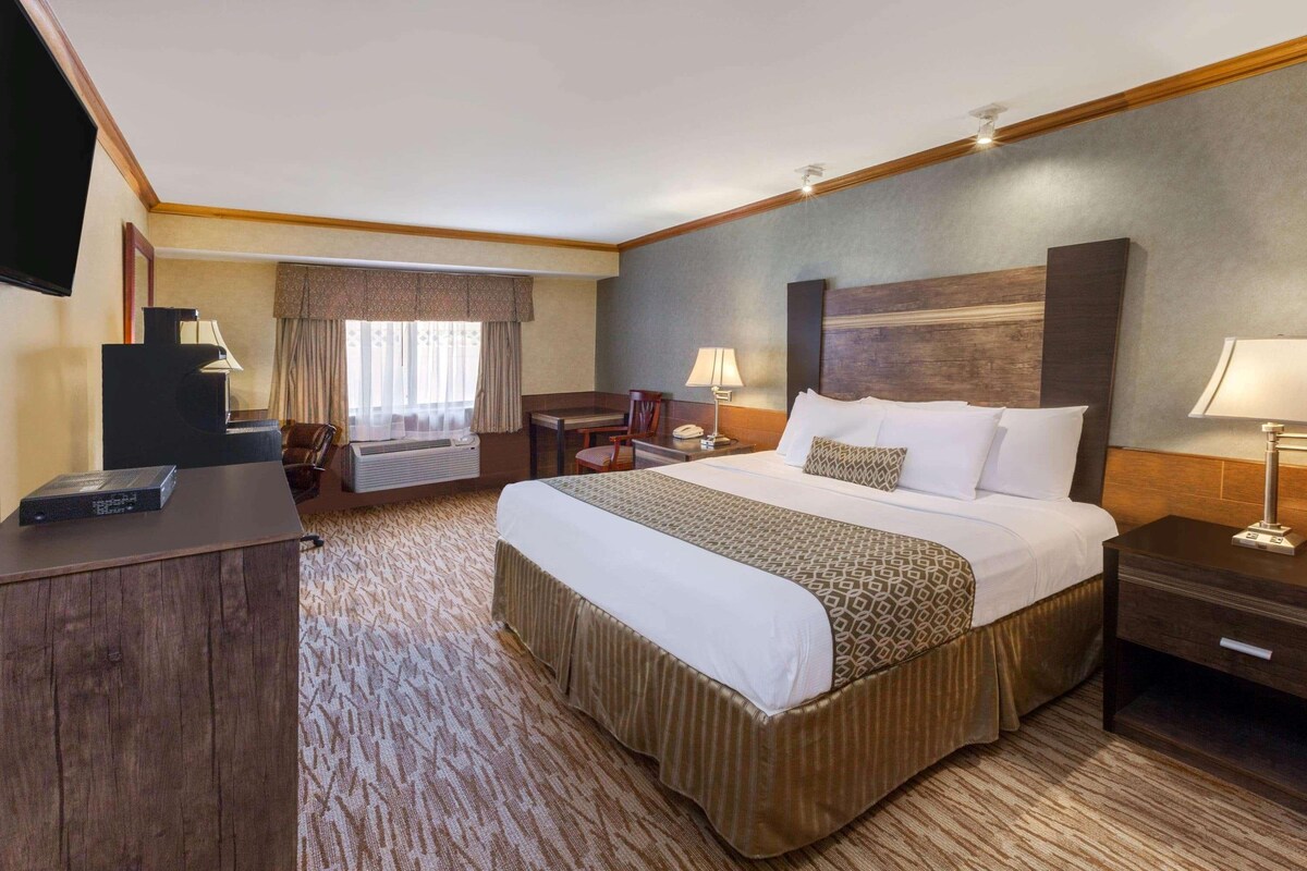 A hotel room with a large bed, a desk, a chair, a TV, and a window with curtains.