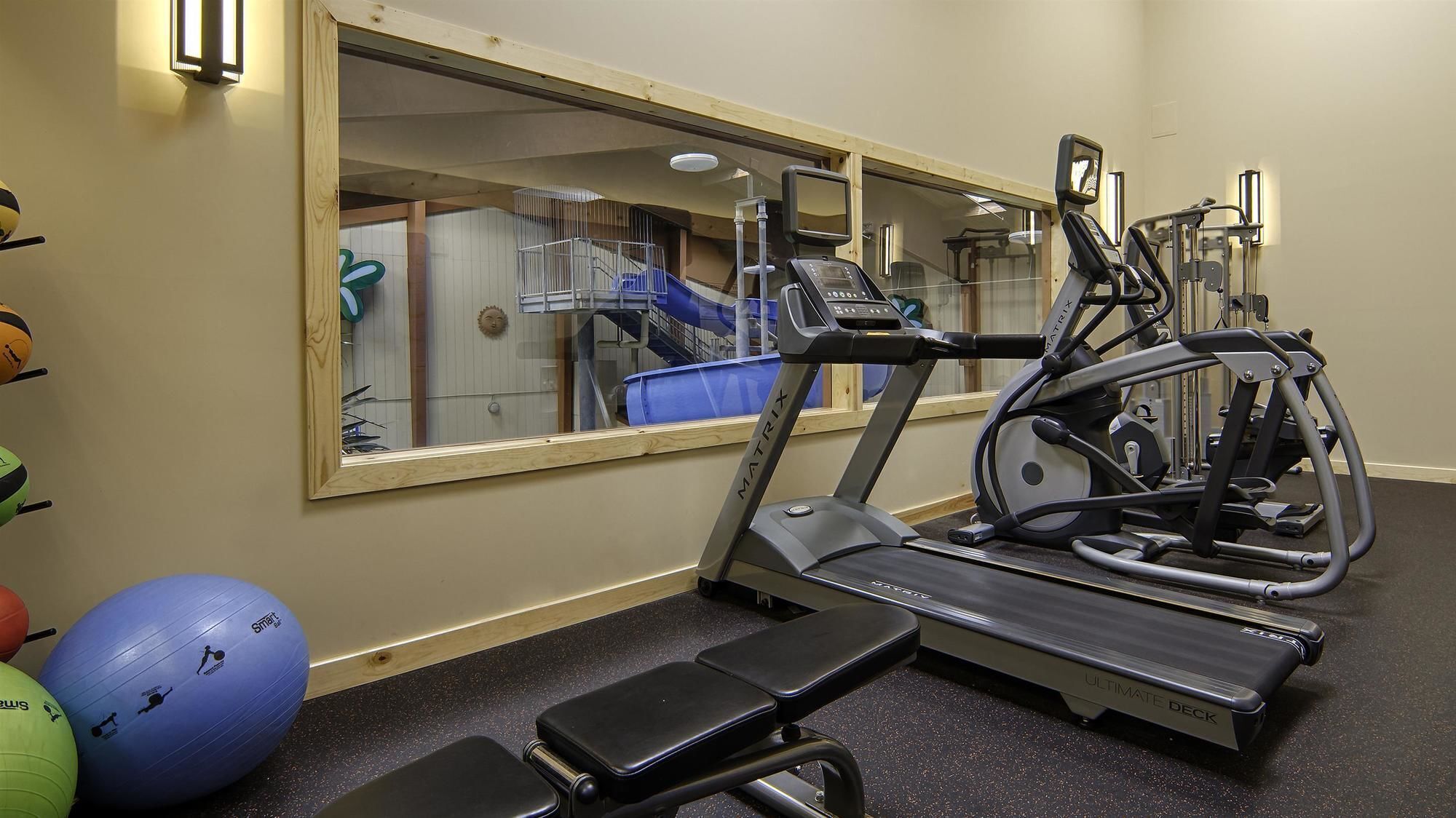 A gym with treadmills, a bench, and exercise balls.