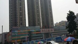 Ảnh chưa phân loại, 4 trong số 11 ảnh, nút