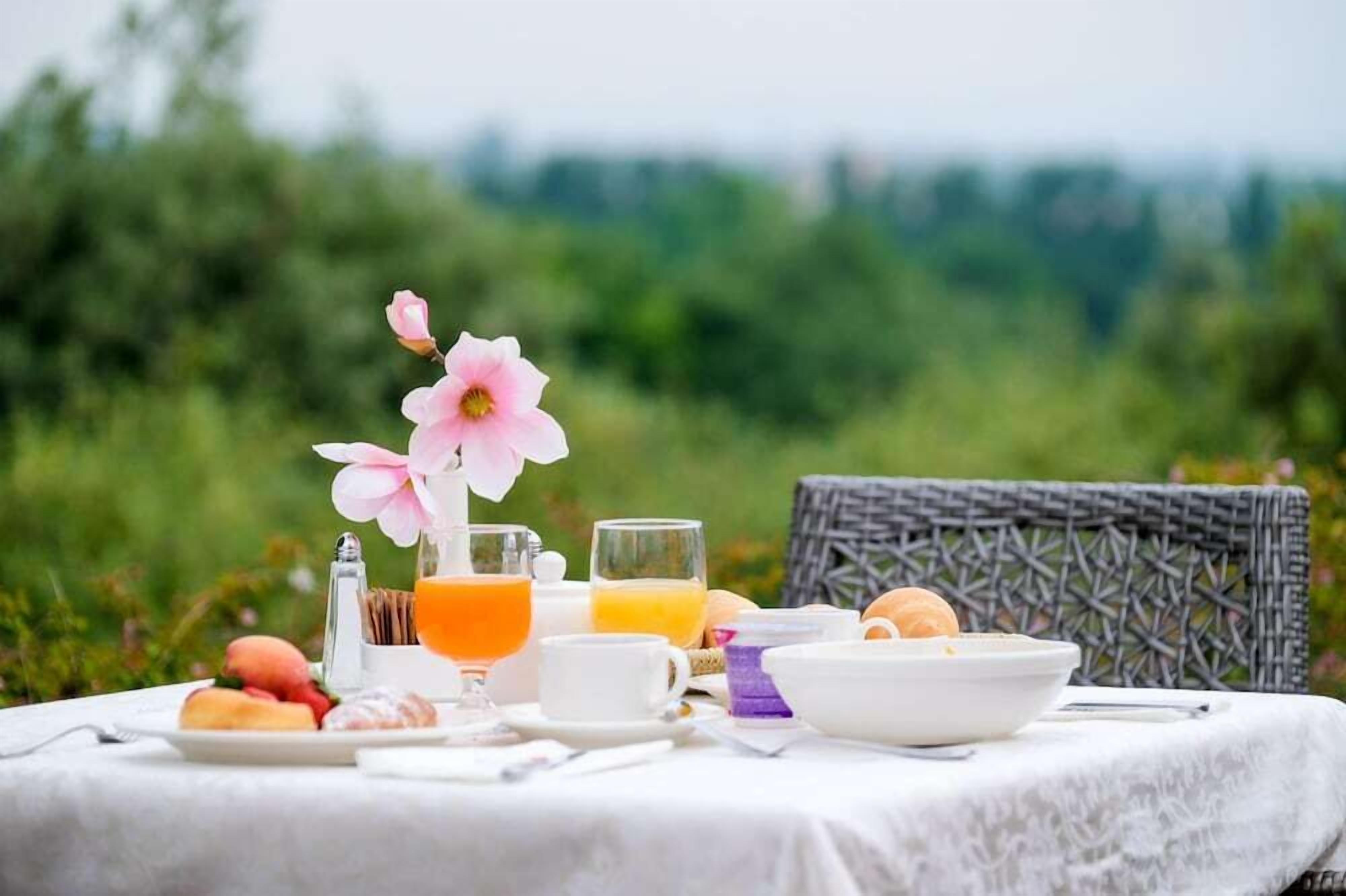 Opções para refeição ao ar livre