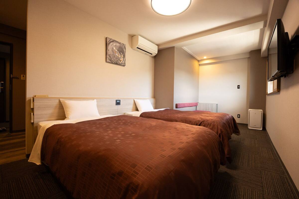 Habitación de hotel con dos camas, un cuadro en la pared, un aire acondicionado, un televisor y una puerta.