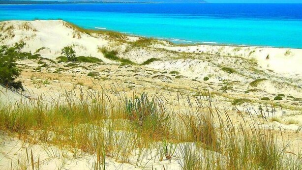 Une plage avec une eau d’un bleu limpide et des dunes de sable.