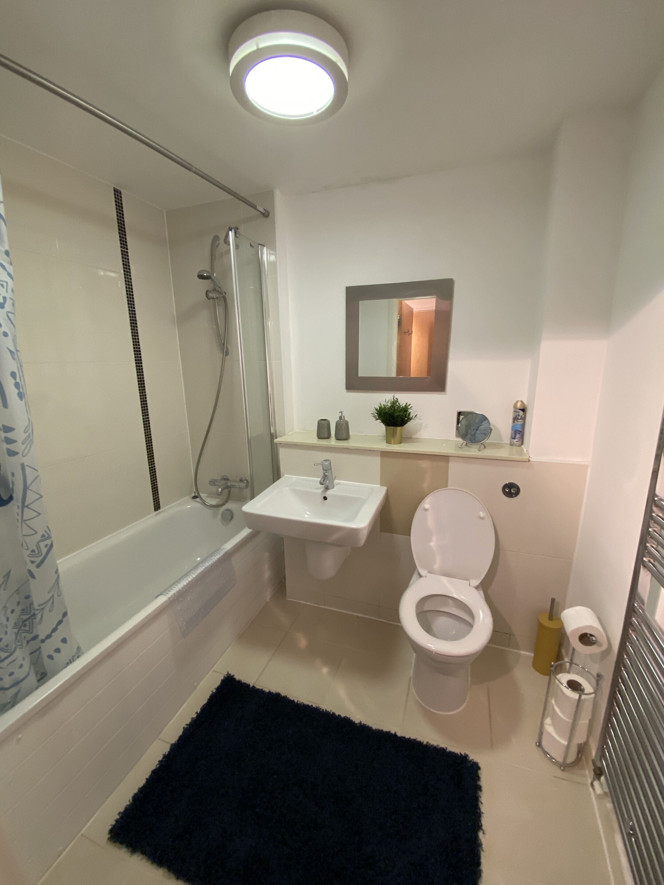 Apartment, Accessible, Private Bathroom (Central Location) | Bathroom