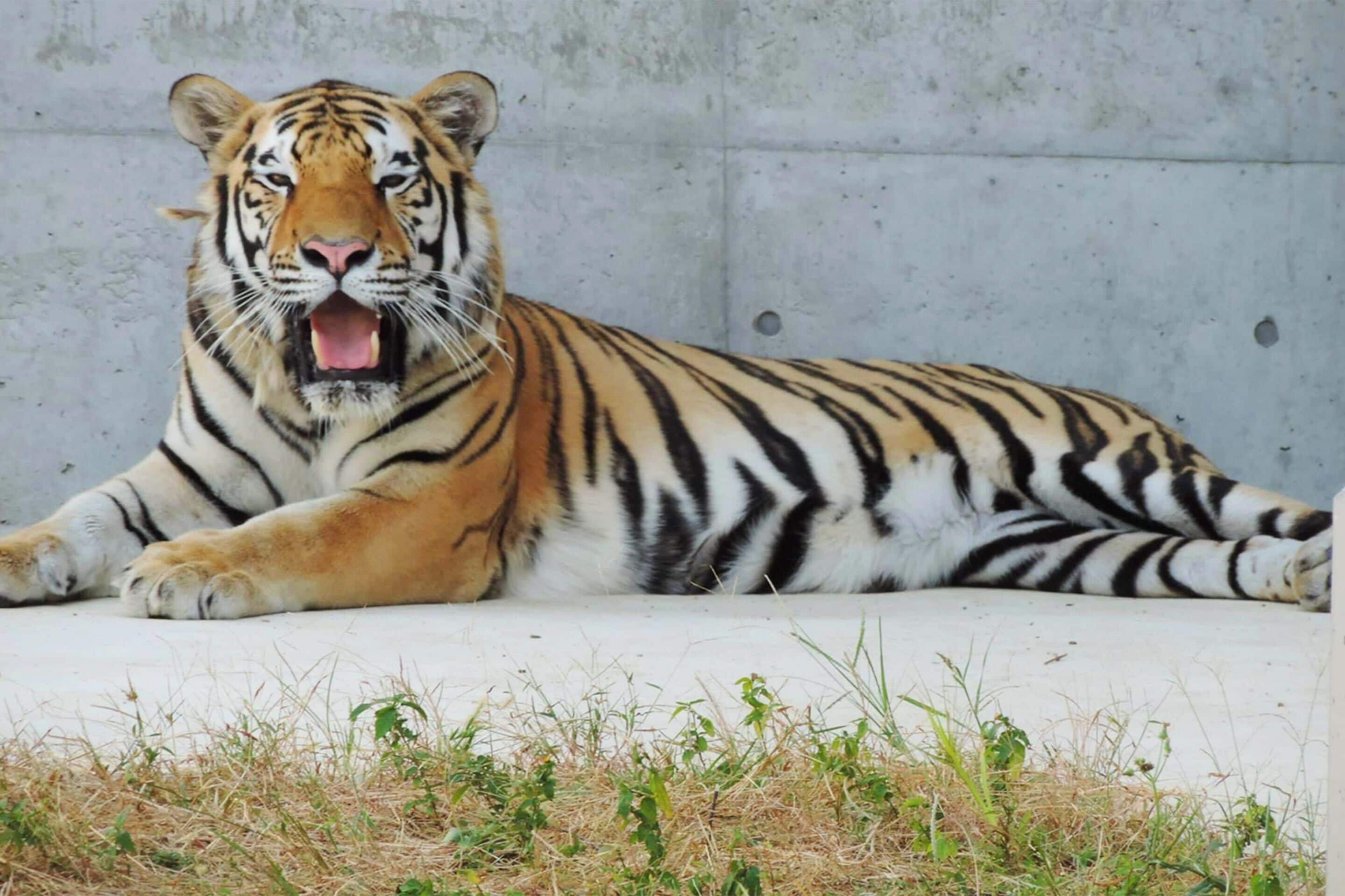 city view from property