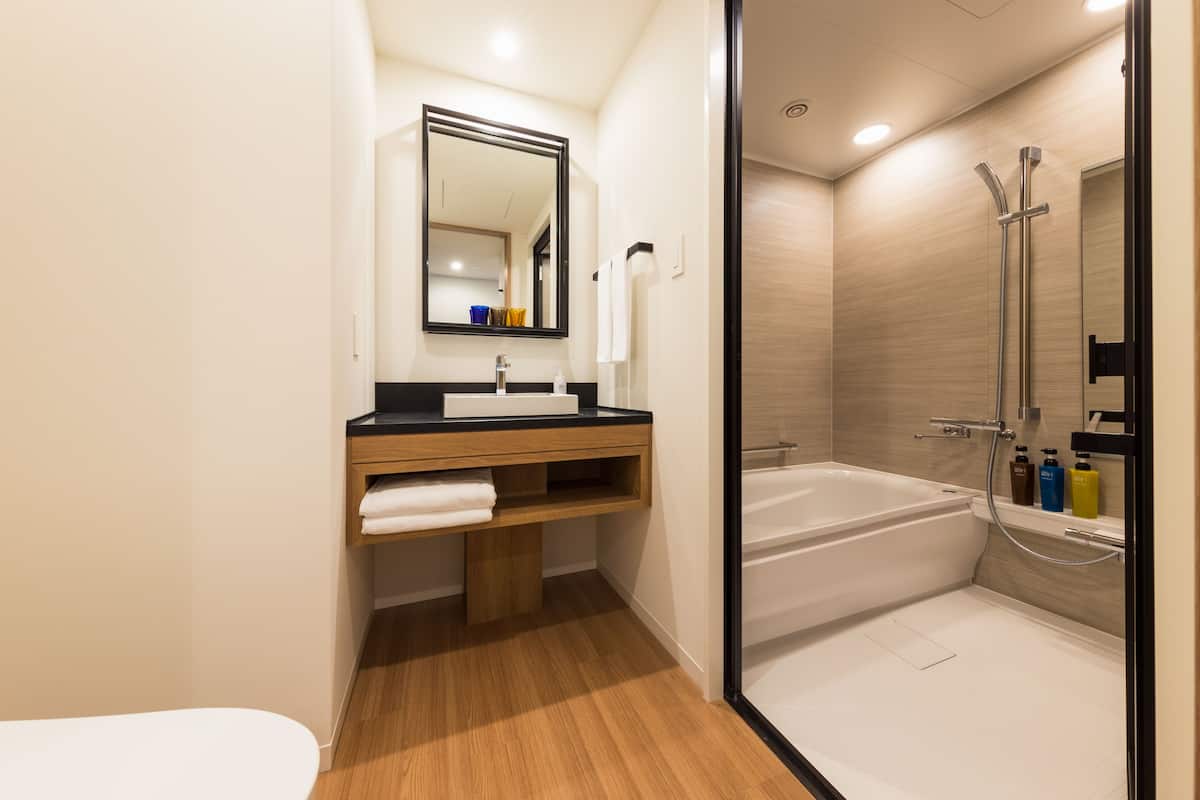 separate bathtub and shower, free toiletries, hair dryer, slippers