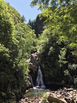 Botó d’imatge sense classificar, 3 de 46