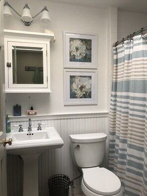 Shower, hair dryer, towels, soap - Waterfront Escape +dock +kayaks +firepit +fireplace +games (Copake)