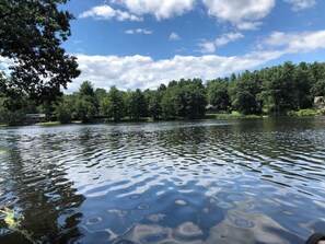 Imagen sin descripción, 2 de 46, botón