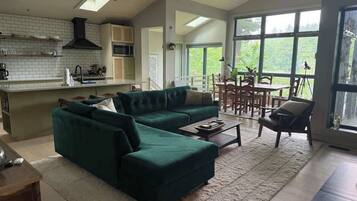 TV connectée, cheminée, livres, médiathÚque