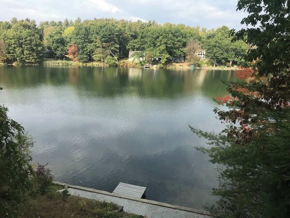 Imagen sin descripción, 1 de 46, botón