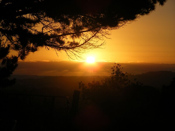 A sunset with the sun low on the horizon, silhouetted trees, and a distant mountain range. - Kingfisher Cabin. Nestled Pukekohe side of Bombay, with a large private pool. (Bombay)
