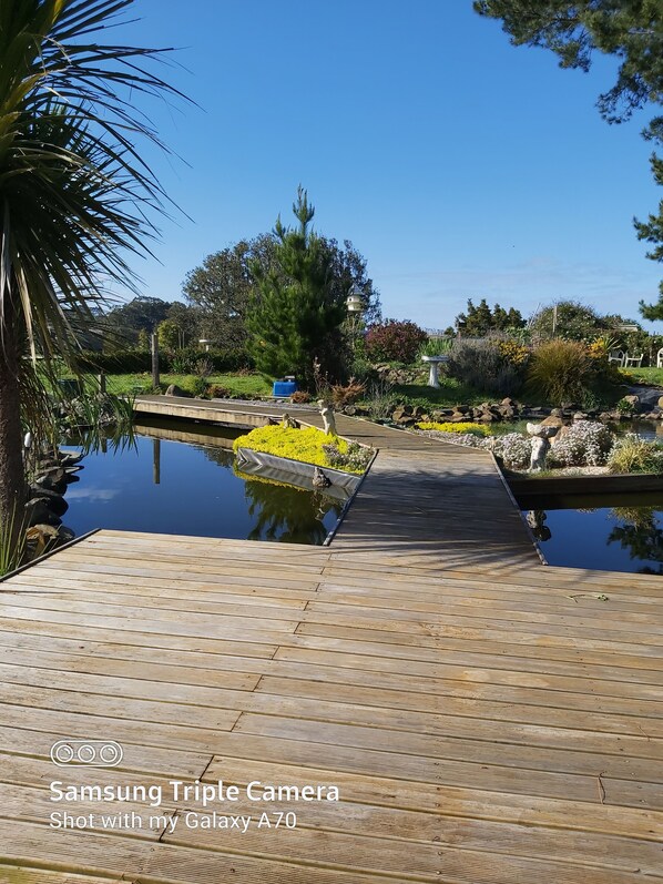 Property grounds - Nestled Pukekohe side of the hills of Bombay with a large private pool (Bombay)