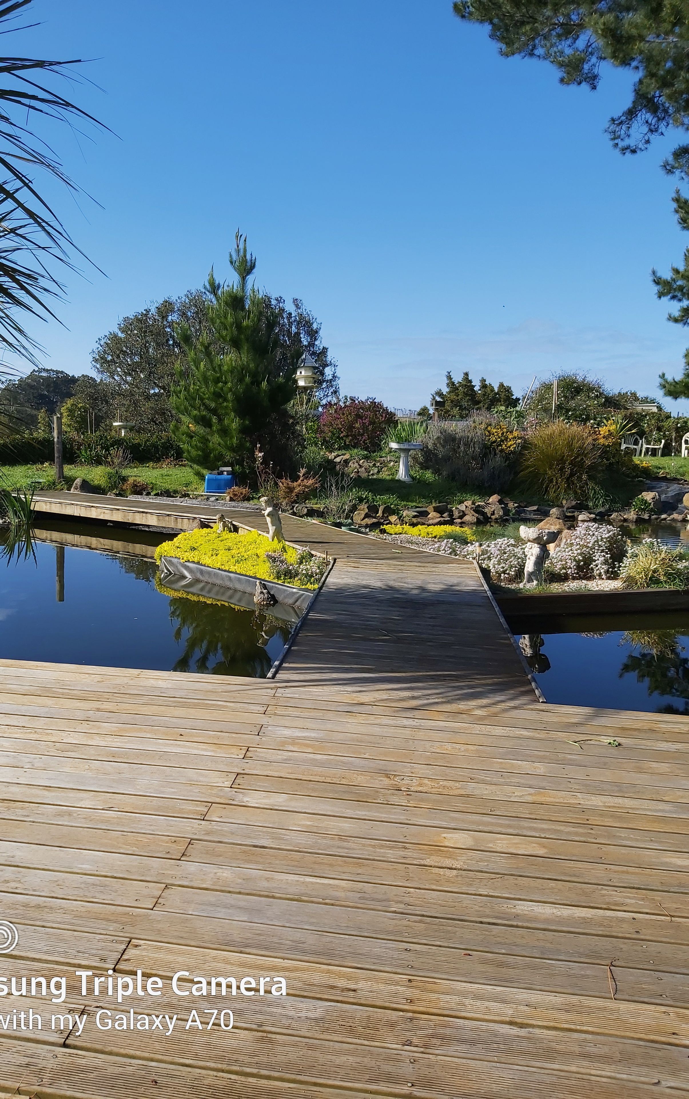 A wooden deck leading to a pond with a statue, surrounded by greenery and a clear blue sky.